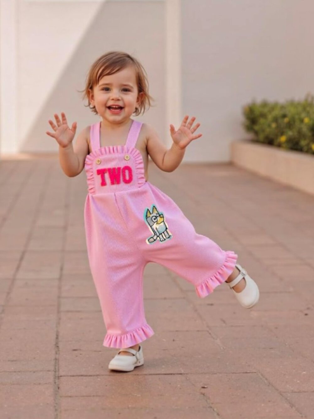 Bluey Overalls Jumpsuit Second Birthday Bingo Bodysuit Bluey clothes